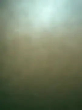 Stripchat Live Porn of Daliz