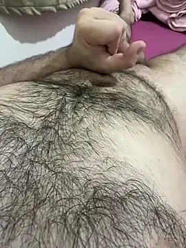 Stripchat Best live sex cam show of Arabic_HairyXXX
