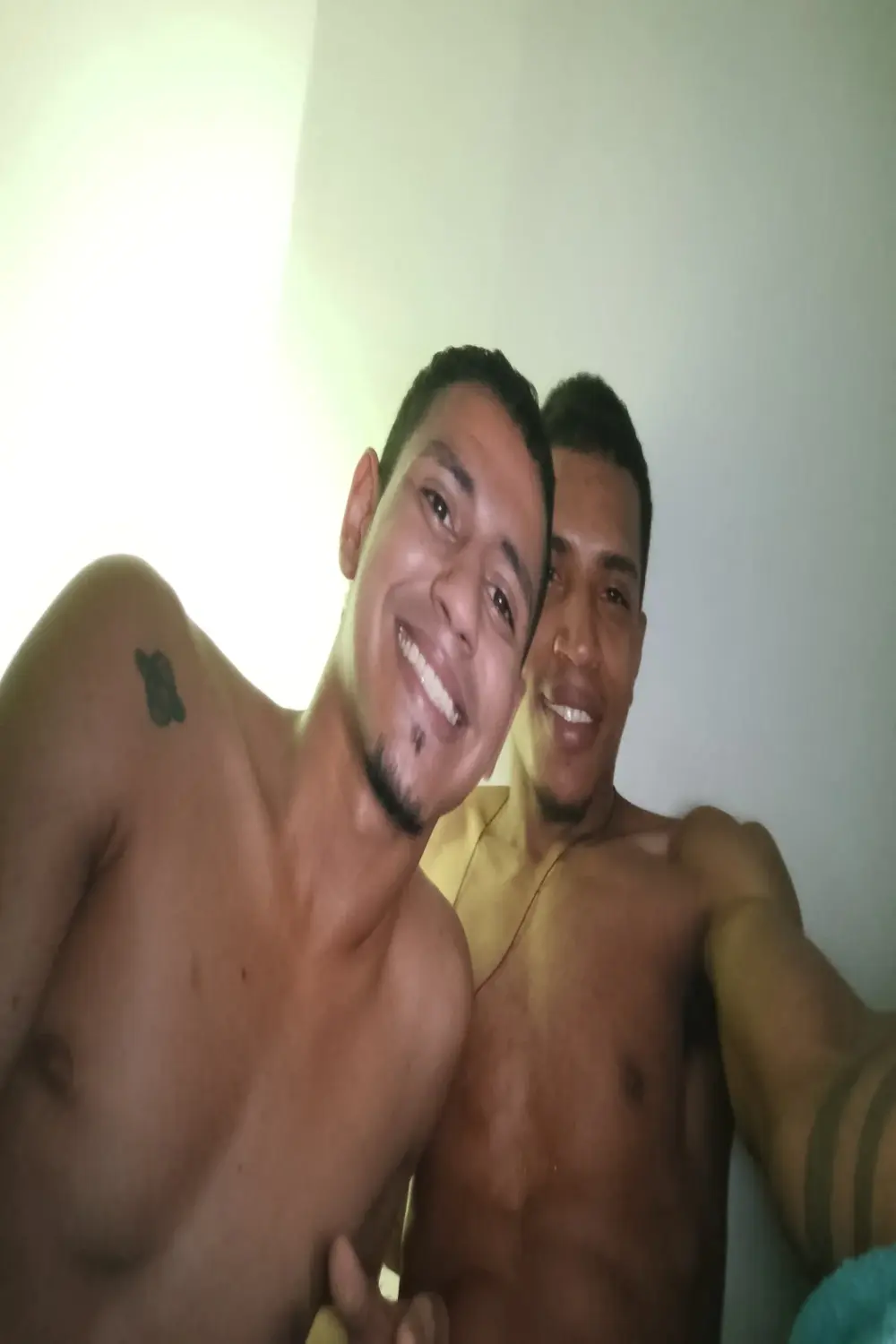 WolVID_XX77