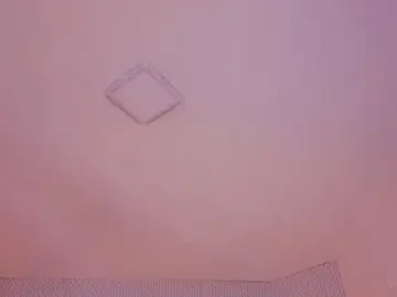 Stripchat Live Sex of ryo_light