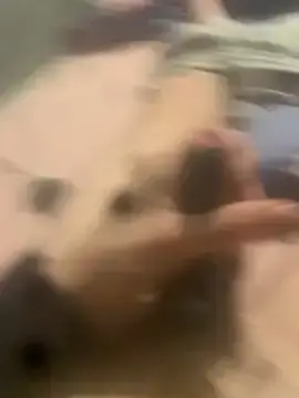 Stripchat Live Sex Cam of bigmanting1244