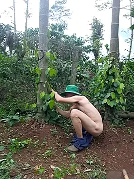 Stripchat Live Sex Cam of hoang1209