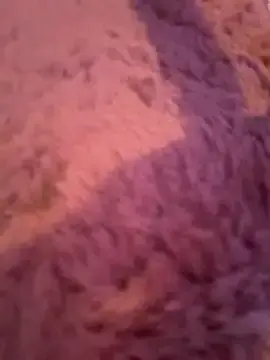 Stripchat Best Webcam of Terribletabby