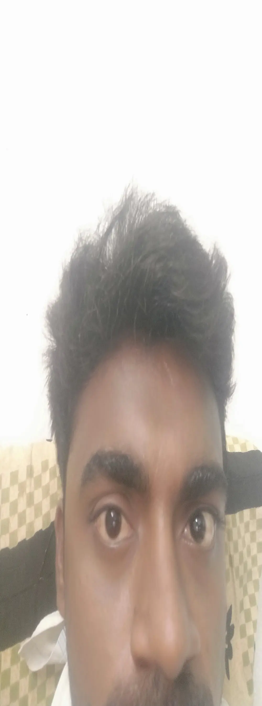 Black_big_bull07