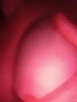 Stripchat Sex Chat of Hottiesophie