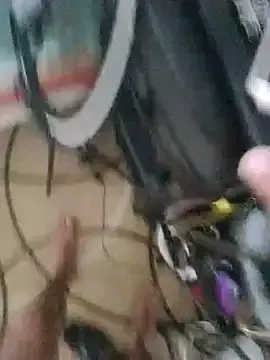 Stripchat Adult Webcam of roludoogato