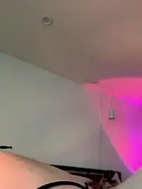 Stripchat Free Live Porn of alldogsgotoheaven