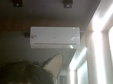 Stripchat Live Porn of SkinnyKitten