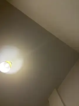 Stripchat Adult Webcam of Z1uk