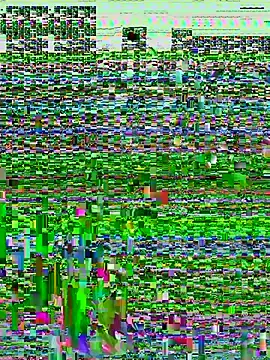 Stripchat Nude Webcam of vily-wonka