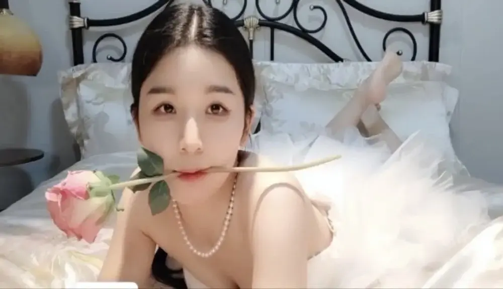 BingLin-