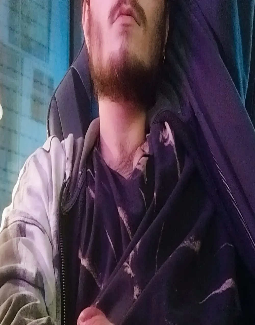 Purple_Flamingo
