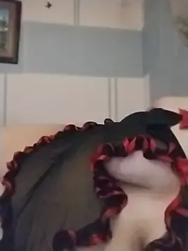 Stripchat Live Sex Cam of sp1cybbw
